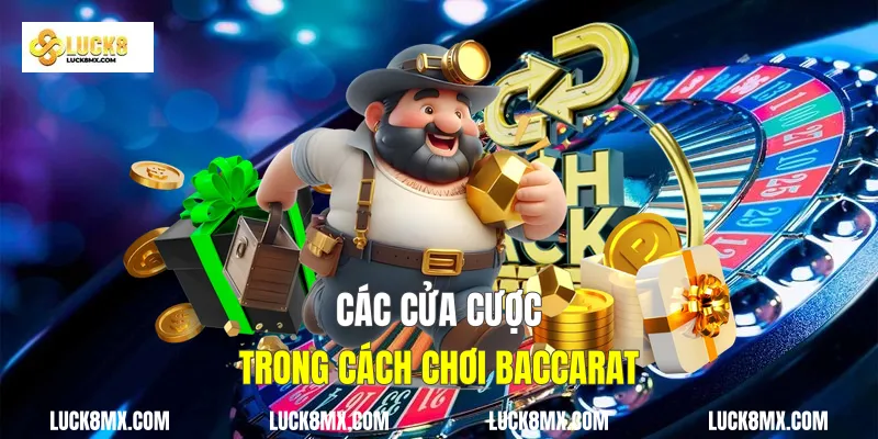 Các cửa cược trong cách chơi baccarat 