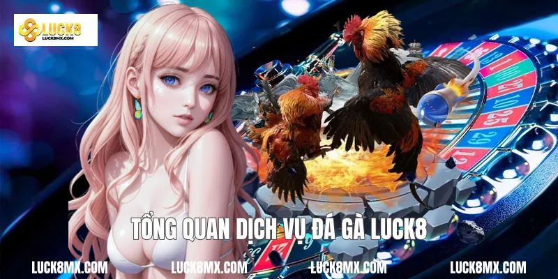 Tổng quan dịch vụ đá gà Luck8